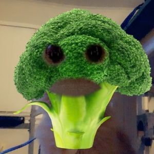 Meet your Posher, Ray